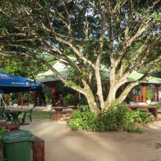 Anse-Lazio-guest-house
