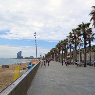 Looking north along the Barceloneta boardwalk