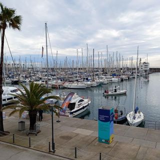 A sea of masts on the Catalan coast