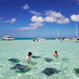 Swimming with rays, Grand Cayman