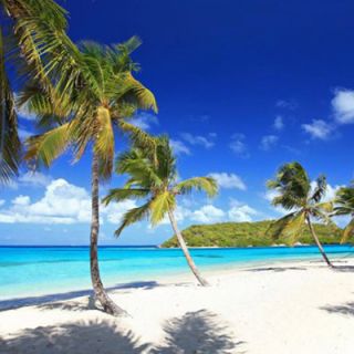Tobago Cays islet