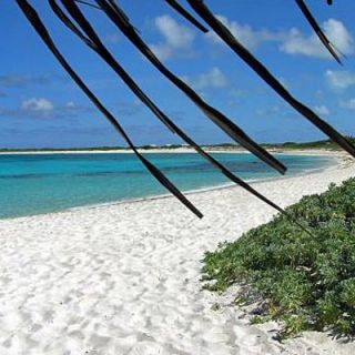 Anegada