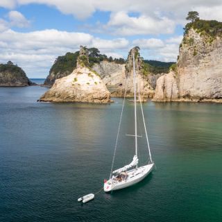 Emotional Rescue in Te Whanganui-A-Hei (Cathedral Cove) Marine Reserve