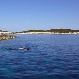 Enjoying calm, clear, azure Adriatic waters