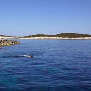 Enjoying the calm, clear Croatian water