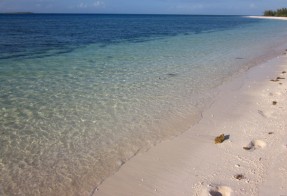 Footprints on a desert island, New Caledonia