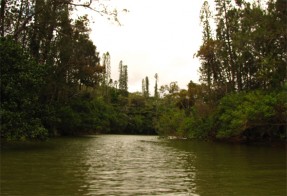 Motoring up-river in our dinghy