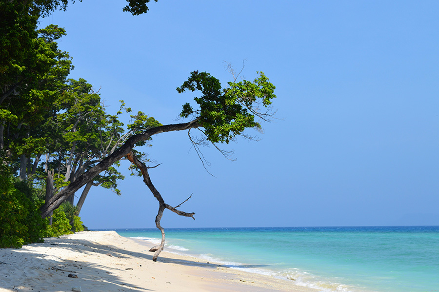 Andaman's deserted beaches
