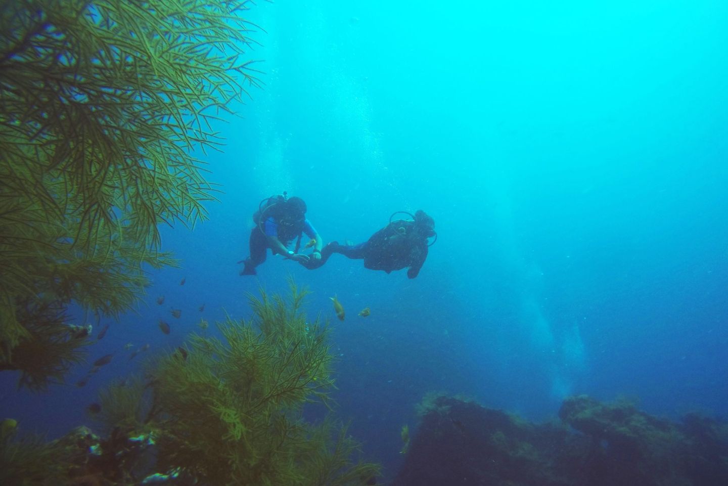 Diving in the Andaman & Nicobar Islands