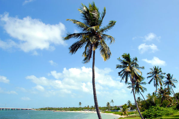 Bahia Honda