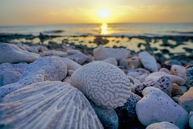 Caymans sunset