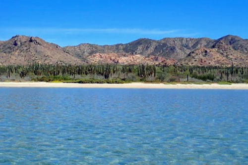 Sea of Cortez coastline