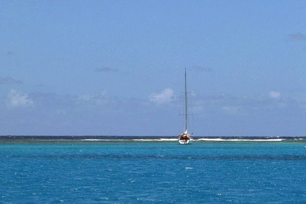 Reef, Nonesuch Bay