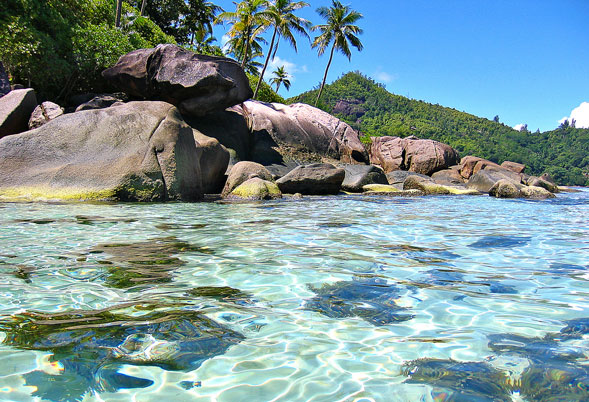 Seychelles tropical island scene