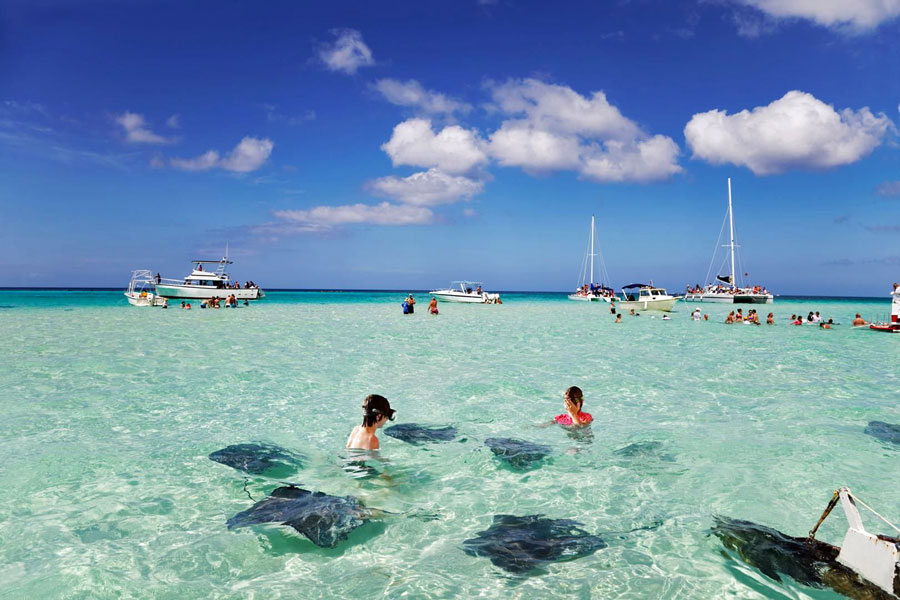 Swimming with rays, Grand Cayman