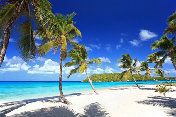 Tobago Cays islet