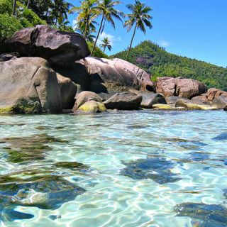 Seychelles tropical island scene