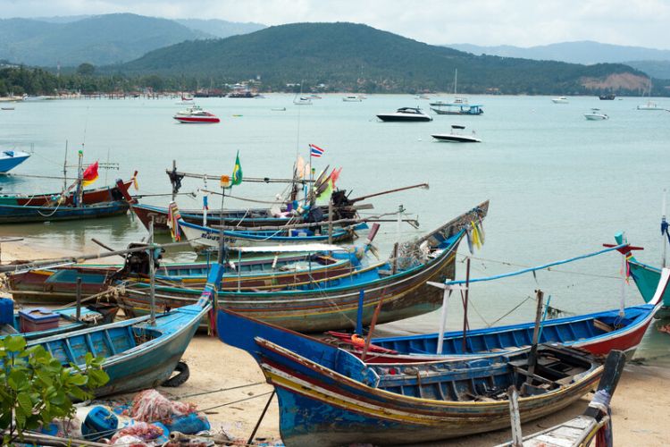 Koh Samui FAQs