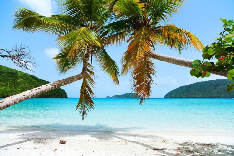 Caribbean Yacht Charter FAQs