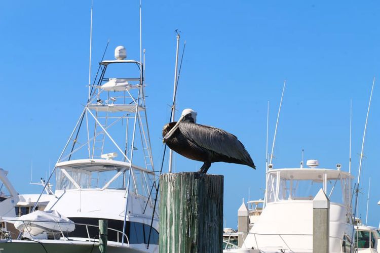 Florida Keys