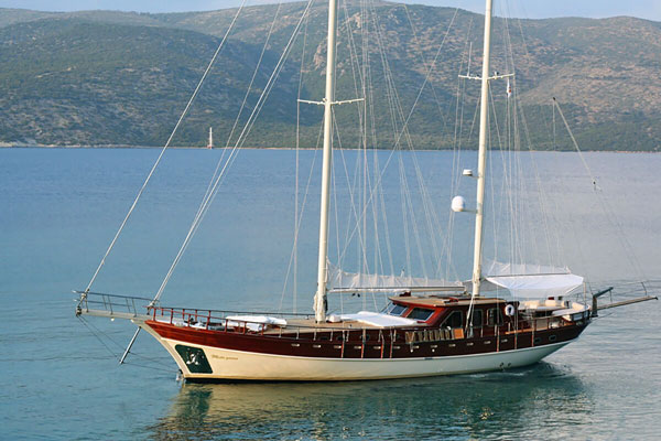 Wild Goose at anchor