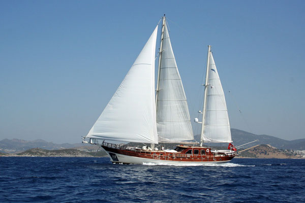 Wild Goose under sail